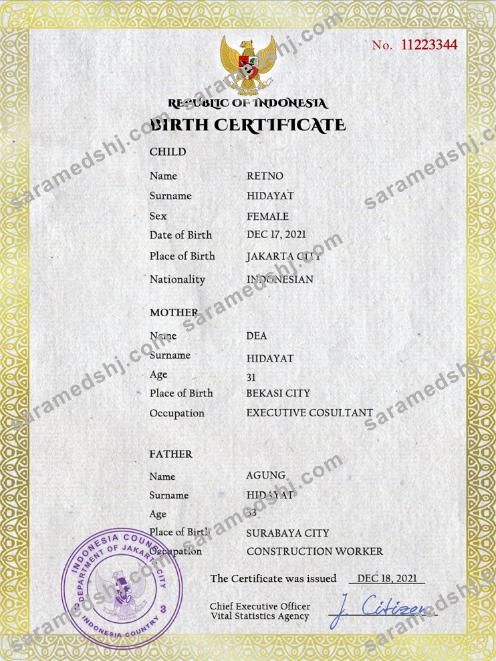 Indonesia vital record birth certificate PSD template